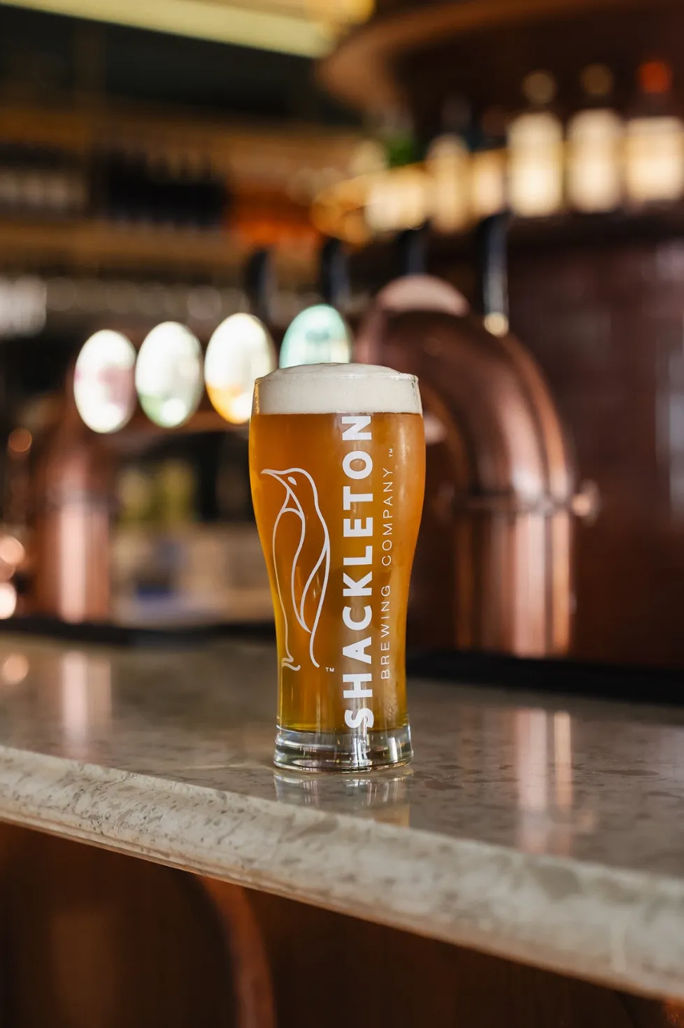 Noah craft beer taps